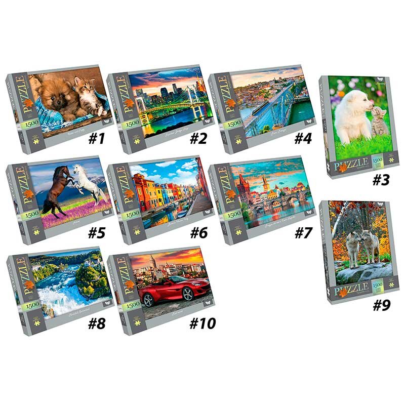 Купити Пазли Danko Toys 1500 елементів Різнокольоровий Артикул: 2000990545336