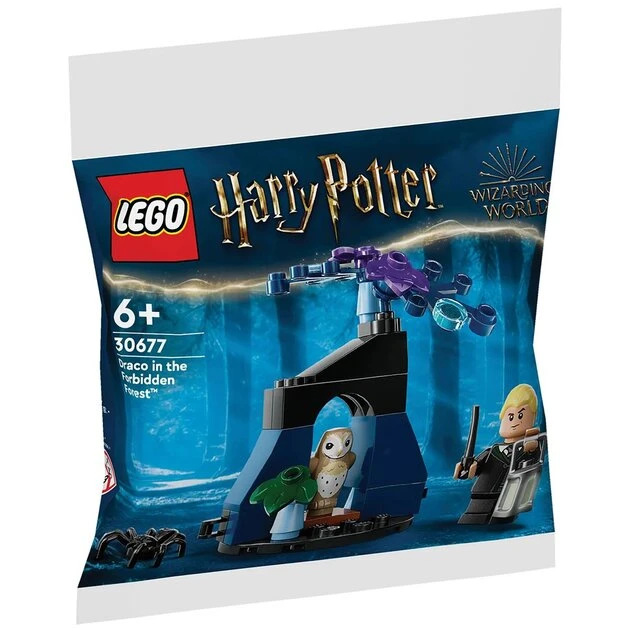 Конструктор LEGO Драко в Запретном лесу 30677 33 детали Разноцветный