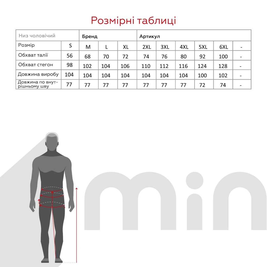 Спортивные брюки однотонные мужские Demos 206 baza S Черный  Фото №3