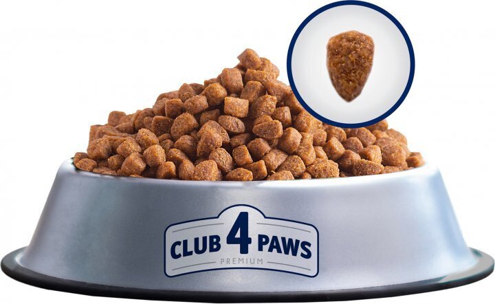 Купити Сухий корм для дорослих кішок Club 4 Paws Преміум. З Лососем 300 г 9221 (4820083909221) Артикул: 4820083909221 Фото №3