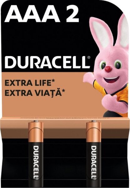 Купити Батарейки DURACELL Basic 77133 AAA1.5V LR03 2 шт на блістері Артикул: 5000394077133 Фото №1