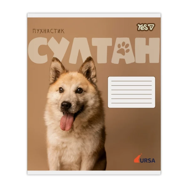 Купити Зошит учнівський "Ursa" YES 768955 18 аркушів Різнокольоровий Артикул: 4823133111230 Фото №1