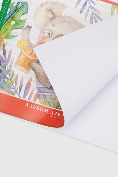Купить Альбом для рисования Апельсин АП-0304 Разноцветный (2000990609854)(SC) Артикул: 2000990609854 Фото №3