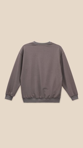 Купить Спортивный костюм свитшот+штаны для мальчика LAWA P-BB02338 146 см Коричневый-графитовый Артикул: 2000999531286 Фото №11