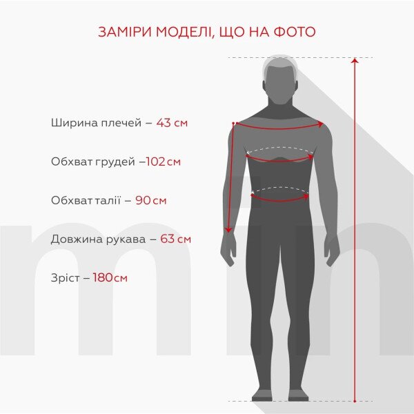 Купить Спортивные штаны однотонные мужские GENUA 2308 S Светло-серый Артикул: 2000990748850 Фото №6