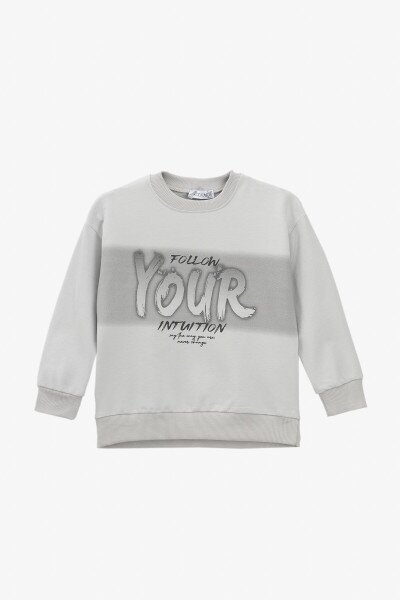Купить Свитшот с принтом для мальчика First Kids 0064 104 см Серый Артикул: 2000990882332 Фото №1
