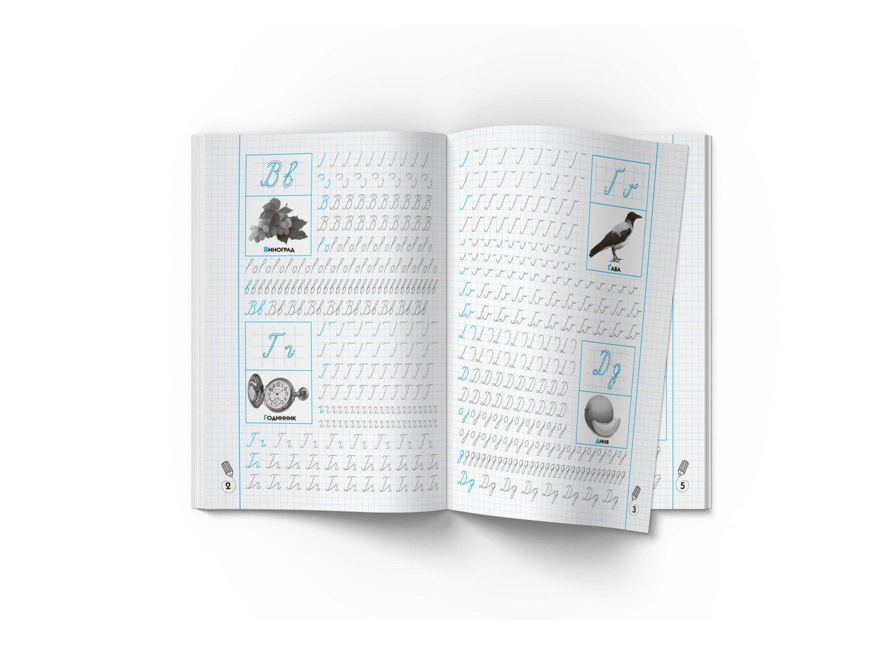 Книга &quot;Прописи-тренажер. Українська мова. Пишемо по клітинкам&quot; 2446  Фото №1