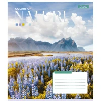 Тетрадь ученическая &quot;Colors of nature&quot; 1В 767359 48 л. Разноцветный