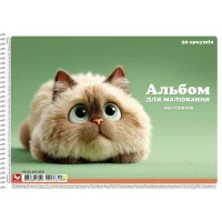 Купить Альбом для рисования Школярик PB-SB-020-8052 20 листов Разноцветный Артикул: 482308824394908052 Миниатюра фотографии № 2