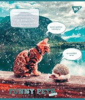 Купить Тетрадь ученическая YES 767016 Разноцветная (4823092284440)(SC) Артикул: 4823092284440 Миниатюра фотографии № 6