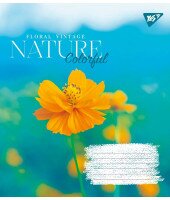 Тетрадь ученическая YES 766972 Разноцветная (4823092284006)(SC)  Фото №0