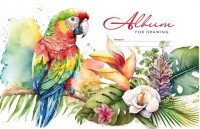 Альбом для рисования ПОПУГАЙ Mandarin 6262-23039 (2000990634269)(SC)