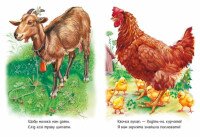Книга Малятам про звіряток Збірник: Поруч з нами Ранок М212013У  Фото №1
