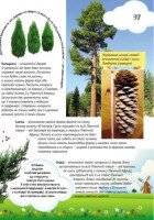 Книга Велика енциклопедія молодшого школяра: Усе про все Ранок Р900879У (9786170923189)  Фото №5