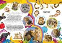 Книга &quot;Школа чомучки. Дивовижні тварини. 60 розвивальних наліпок&quot; 8120 (9789669878120)  Фото №0