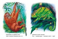 Книга Малятам про звіряток Збірник: Лісові звірята Ранок М212015У  Фото №2