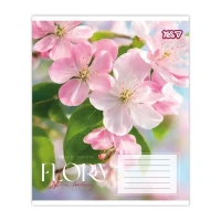 Купити Зошит учнівський "Flora" YES 768792 36 аркушів Різнокольоровий Артикул: 4823133109701 Фото мініатюра № 5