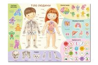 Купити Навчальний постер з наклейками "Тіло людини"  Dodo 300901 Різнокольоровий Артикул: 4823115913456 Фото мініатюра № 2
