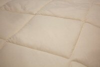 Одеяло TM Fine Sleep &quot;Fine Dream &quot;, Микроф 30/70 1700х2050 735210119-170205 (2000990533692)  Фото №1