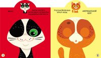 Книга &quot;Грайка-розвивайка. Котики. 69 великих наліпок&quot; 5587 (9789669875587)  Фото №0