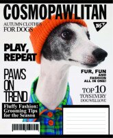 Зошит учнівський &quot;Animal&#039;s fashion&quot; YES 767786 48 арк. Різнокольоровий  Фото №1