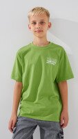 Футболка з принтом Reality для хлопчика LAWA P-BB02315 134 см Оливковий