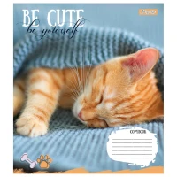 Зошит учнівський &quot;Be cute&quot; 1В 766941 12 арк. Різнокольоровий  Фото №0
