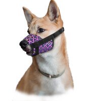 Намордник ТМ HIDOG &quot;Aztec&quot; з нейлону регульований №1(14-20см) 130-1003 (2100102380012)(SN)  Фото №2
