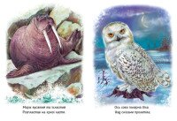 Дитяча книжка Малятам про звіряток: Тварини світу Ранок М212014У  Фото №2