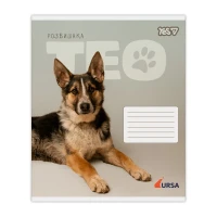 Купити Зошит учнівський "Ursa" YES 768955 18 аркушів Різнокольоровий Артикул: 4823133111230 Фото мініатюра № 3