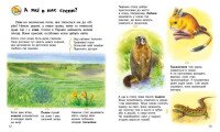 Купити Книга Енциклопедія дошкільника (нова): Україна Ранок С614044У Різнокольоровий Артикул: 9786170999948 Фото мініатюра № 3