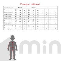 Бодi-вишиванка для малюків Baby Life Вишивка сірий 74 см Білий  Фото №4