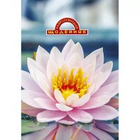 Дневник уч. &quot;Самый умн.&quot; 2022 тв.ОБЛ. /1В2134/ &quot;Лотос&quot; (2000989150275)(SC)