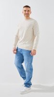 Купить Джемпер однотонный мужской GENUA G01205-0002 M Бежевый Артикул: 2000999471490 Миниатюра фотографии № 2