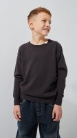Купить Джемпер однотонный для мальчика Lizi 516 116 см Графитовый Артикул: 2000999226809 Миниатюра фотографии № 1