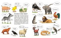 Купить Моя первая рисованная энциклопедия: Животные Ранок Ч2068001У Артикул: 9786170999580 Миниатюра фотографии № 3