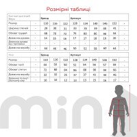 Футбольная форма для мальчика BLD РЕАЛ МАДРИД VINI JR 110 см Серый  Фото №11