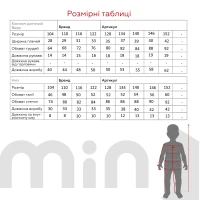 Купить Футбольная форма для мальчика BLD UKRAINE 116 см Синий Артикул: 2000990758781 Миниатюра фотографии № 8