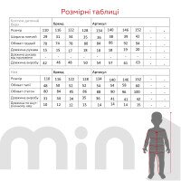 Футбольна форма для хлопчика BLD ЛІВЕРПУЛЬ SALAH 110 см Червоний (2000904755417A)  Фото №15