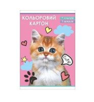 Картон цветной 11В-017 9 листов
