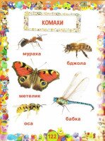Книга &quot;Улюблена книжка малюка. Від 6 місяців до 4 років&quot; 2681 (9789669362681)  Фото №2