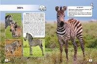 Книга &quot;Мир вокруг нас Малыши животных&quot; 9499 (9789669369499)  Фото №0
