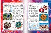 Книга &quot;Світ навколо нас. Віруси&quot; 3620 (9789669873620)  Фото №0