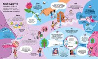 Книга &quot;Велика книга про Тіло&quot; 8098 Різнокольоровий  Фото №3