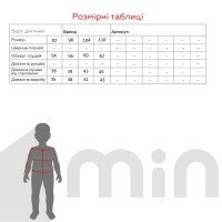 Кофта з принтом для хлопчика Lizi 3548 92 см Сірий  Фото №3