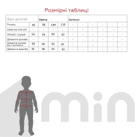 Кофта з принтом для хлопчика Lizi 3548 92 см Сірий  Фото №3