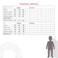 Костюм для мальчика Caramini 7820 62 см Серый (2000990531049D)  Фото №7