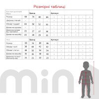 Костюм для мальчика (свитшот+штаны) КОЗАЧЕК 1212 86 см Серый  Фото №8