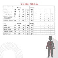 Костюм свитшот+штаны для мальчика Waxmen 7149 128 см Серый (2000990751782W)  Фото №15