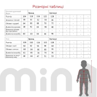 Костюм худі+штани для хлопчика Isobel Q24054 122 см Жовтий  Фото №10